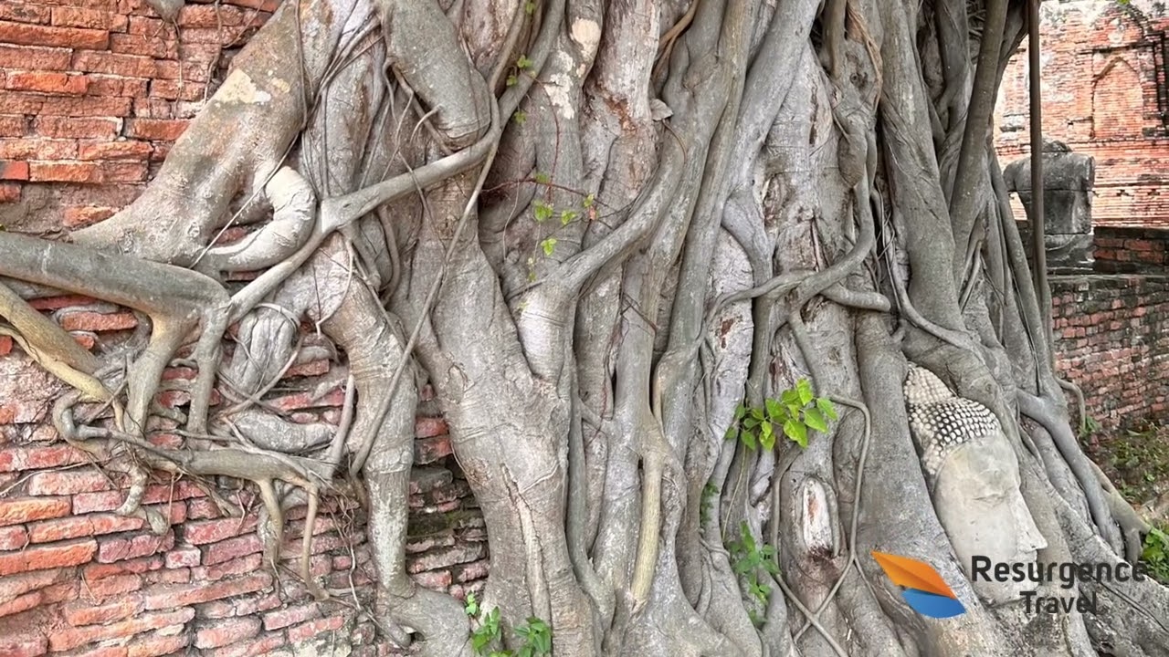 Wat Maha That Adventure Thailand