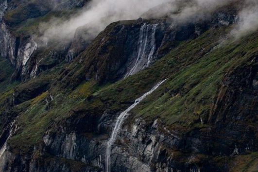 Makalu forest