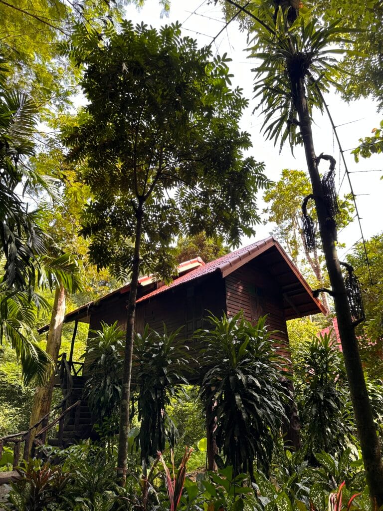 Lodge at Khao Sok Arts Riverview Lodge with Resurgence Travel