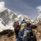 Everest and Yaks